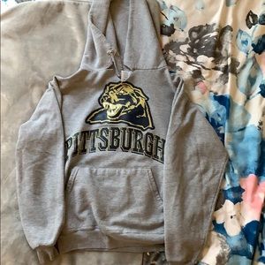 gray pitt hoodie